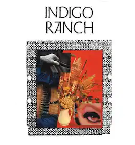 Indigo Ranch - Hard Gloss - VINYL LP
