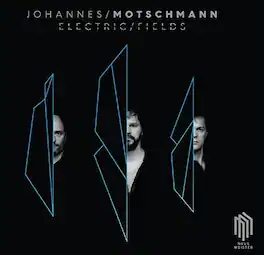 Motschmann / Panzl / Bolles - Electric Fields - VINYL LP