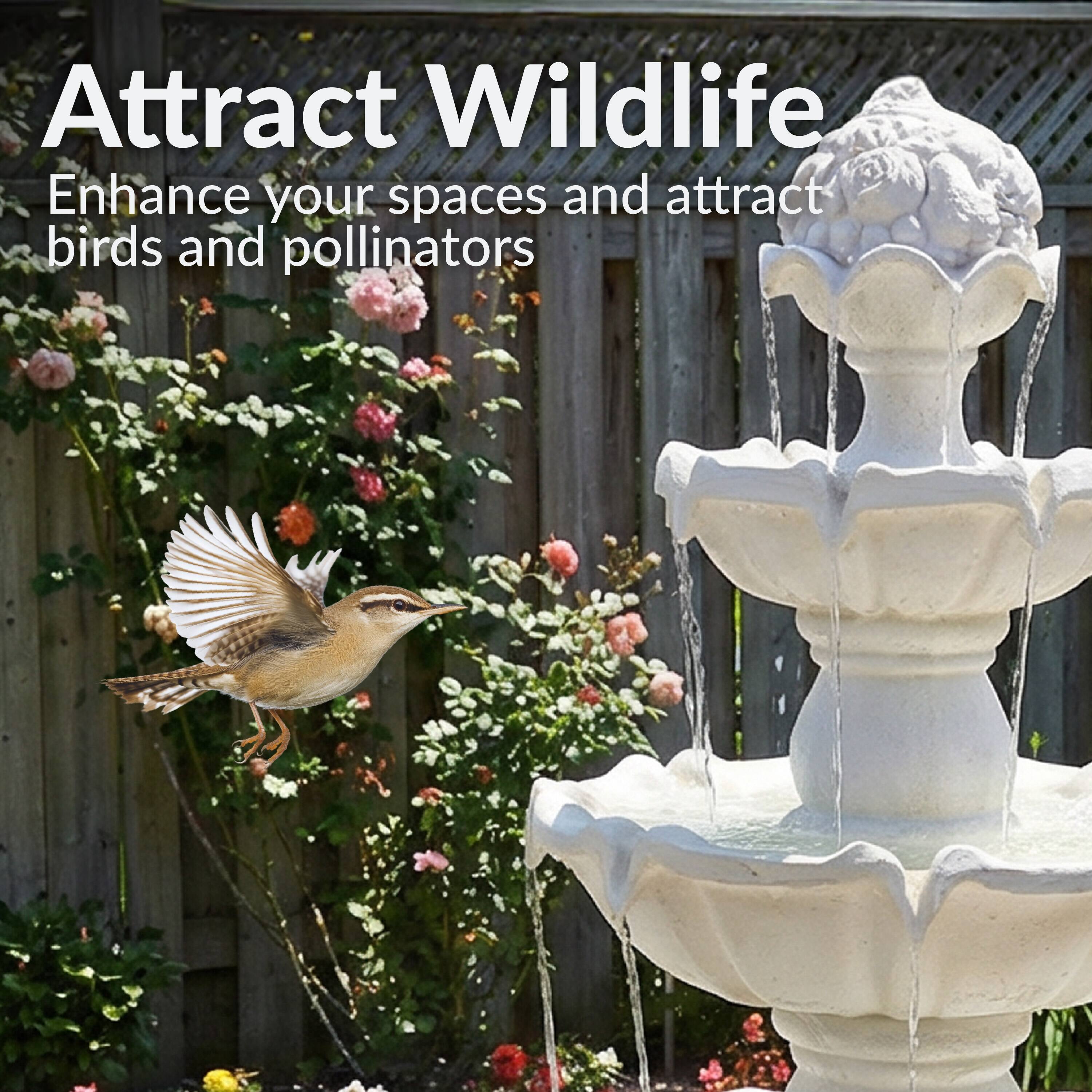 Attract Wildlife  
Enhance your spaces and attract birds and pollinators