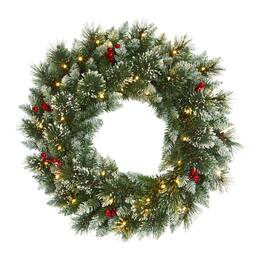 BreeBe - 24” Frosted Swiss Pine Wreath w/35 LEDs and Berries - Multi