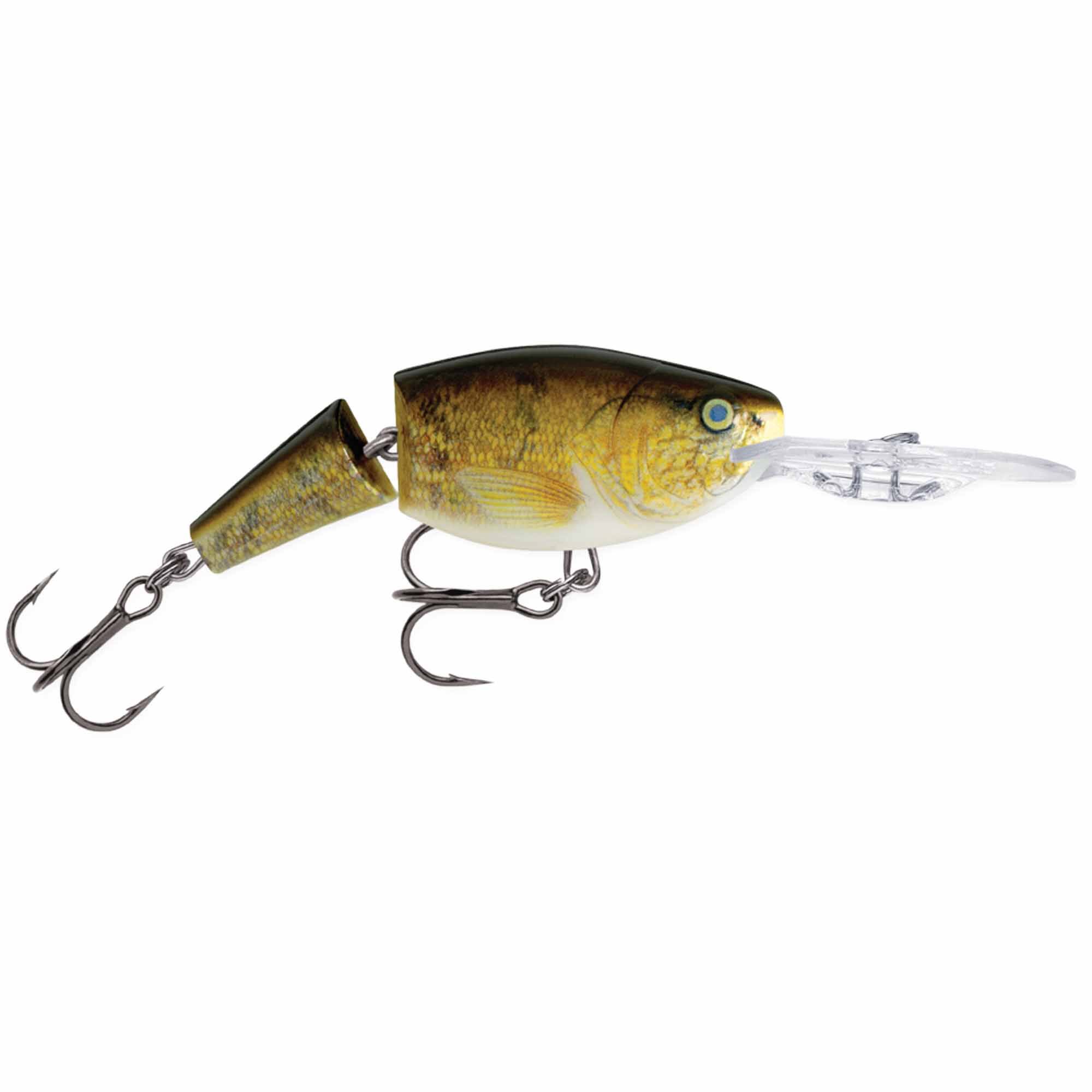 Walleye