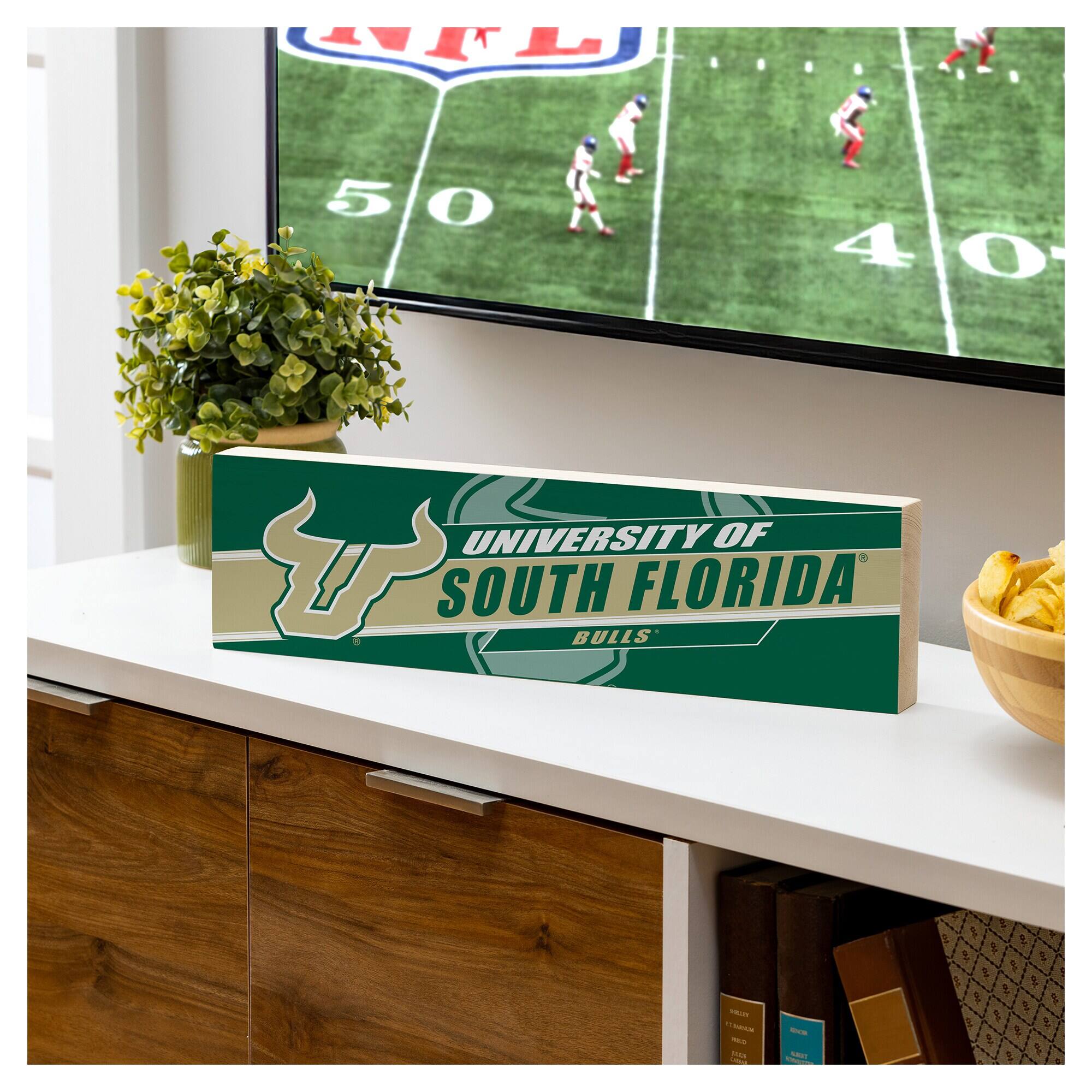 UNIVERSITY OF SOUTH FLORIDA  
BULLS