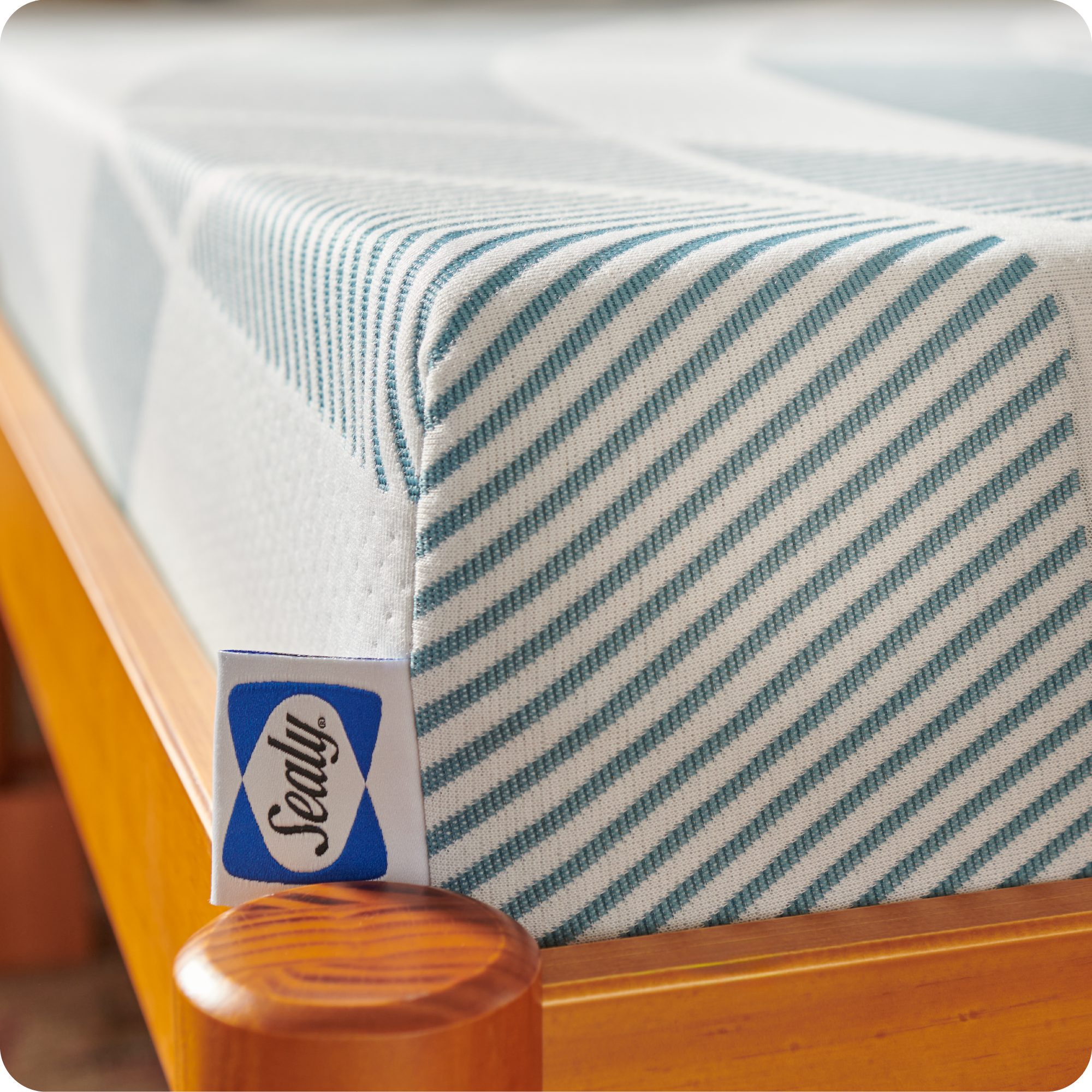 Alt View 16. Sealy - Dreamlife 8” Foam Mattress-in-a-Box, Queen - White.