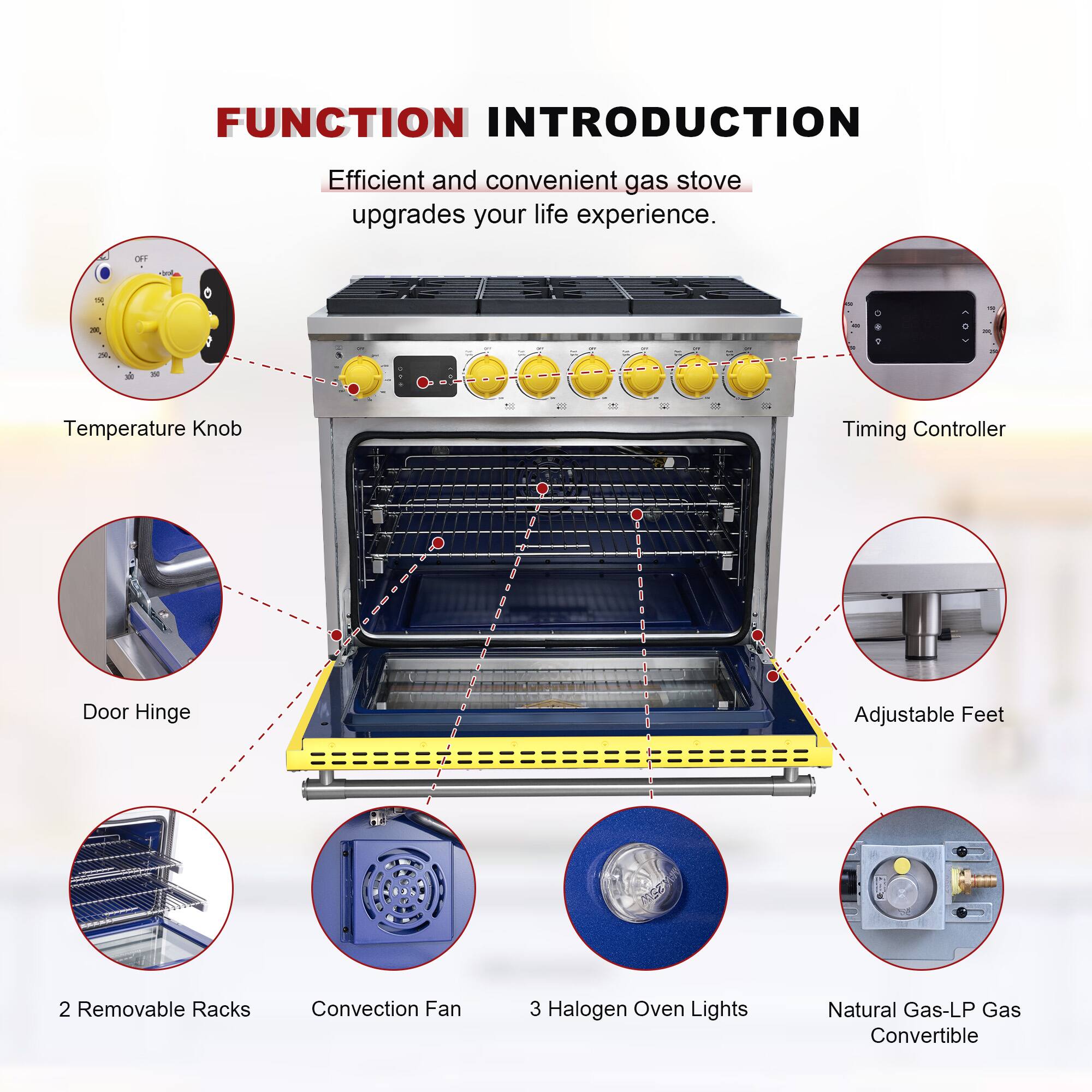 FUNCTION INTRODUCTION  
Efficient and convenient gas stove upgrades your life experience.

- Temperature Knob
- Timing Controller
- Door Hinge
- Adjustable Feet
- 2 Removable Racks
- Convection Fan
- 3 Halogen Oven Lights
- Natural Gas-LP Gas Convertible