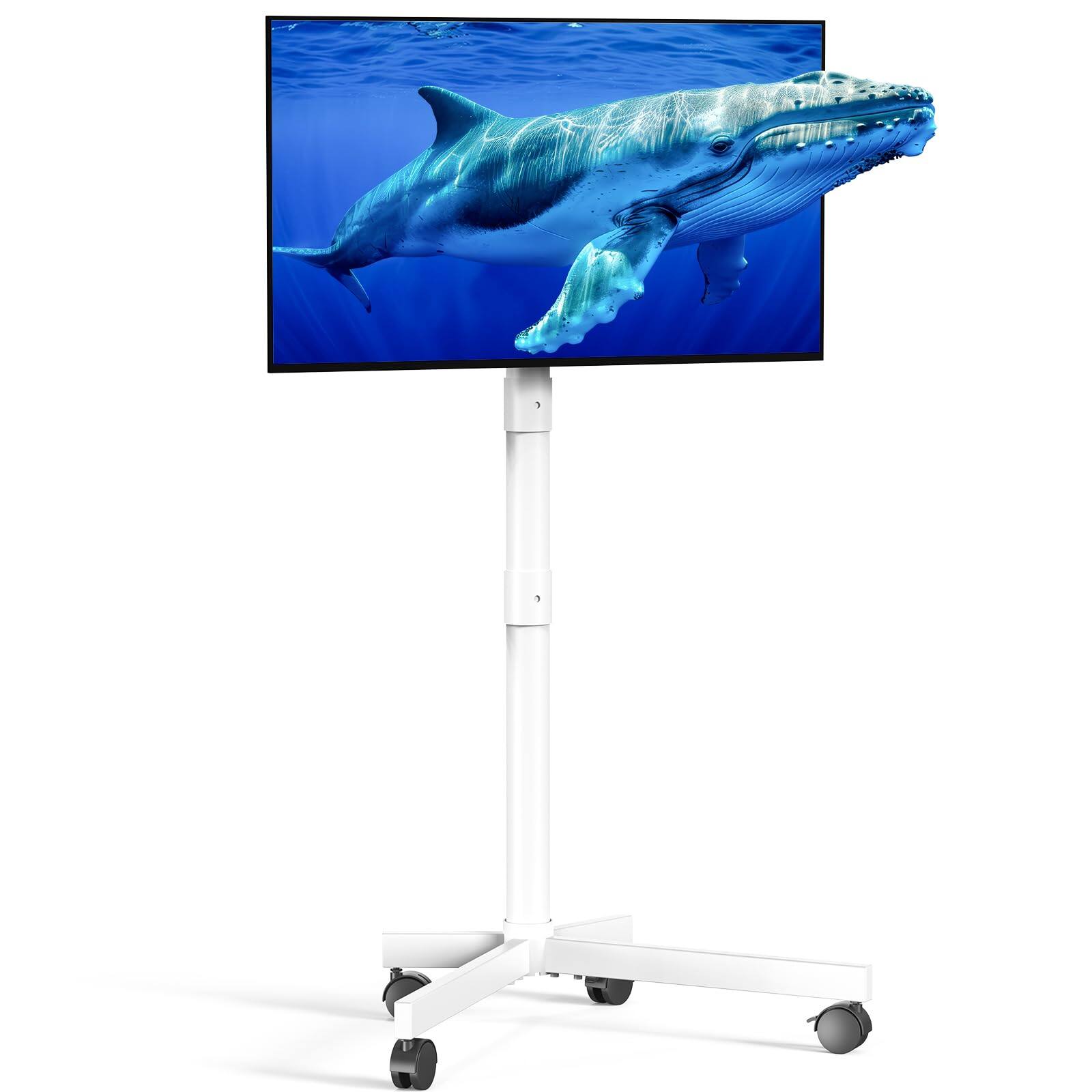 Hanke - Mobile Tv Cart For 23- Lcd Led Oled Flat Curved Screen Tvs - Height Adjustable Rolling Floor Stand With She - White 23-60 Inch No Shelf