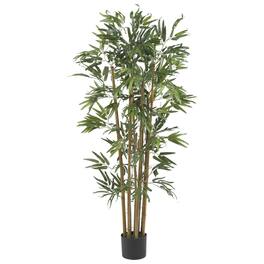 BreeBe - 4' Multi Bambusa Bamboo Tree w/700 Lvs - Green