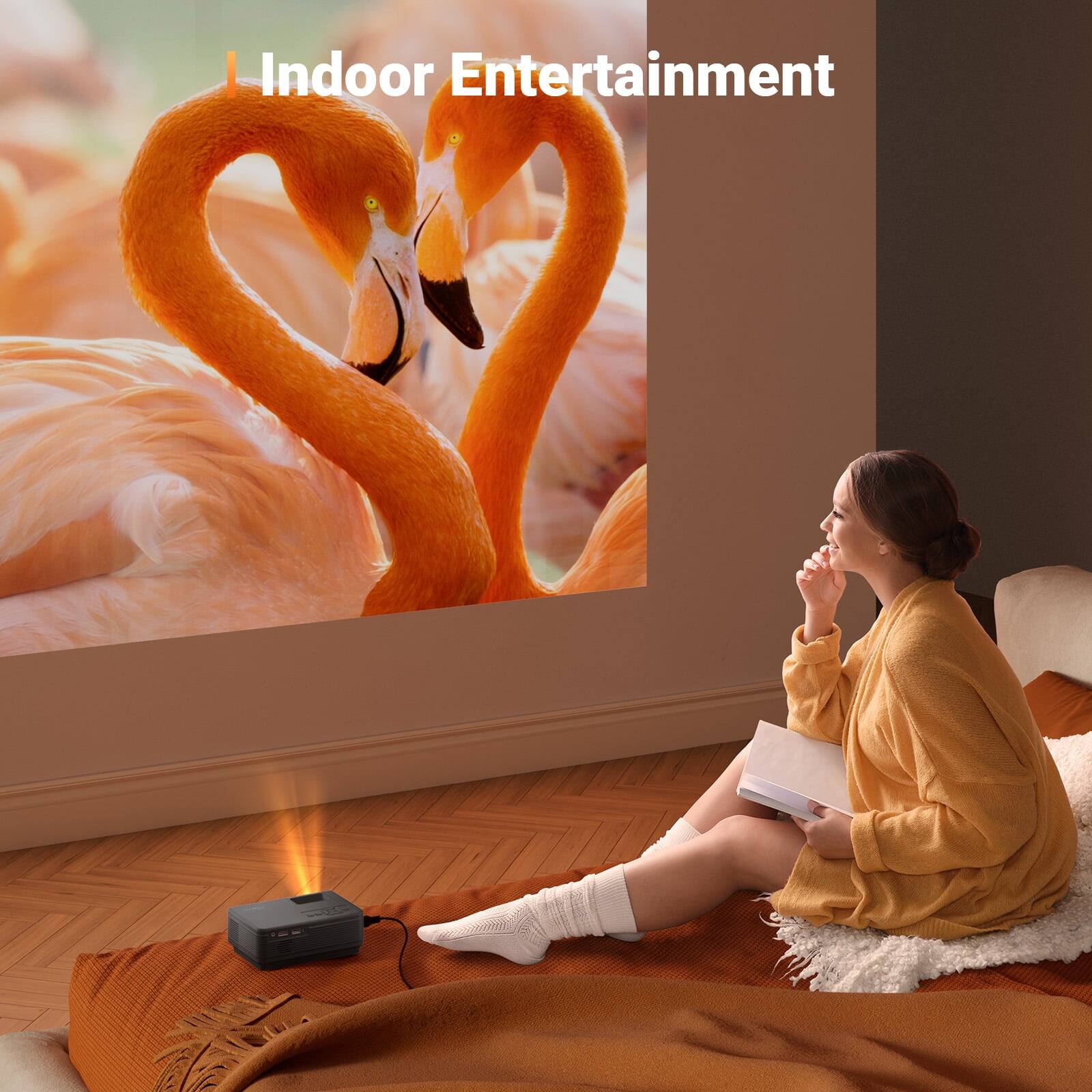 Indoor Entertainment