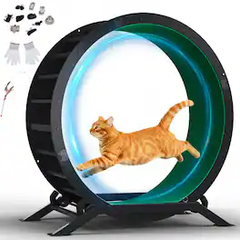 CloudRest Pro - Cat Wheels 40" Diameter Large Cat Exercise Wheel for Indoor Cats Cat Treadmill Ultra-Quiet Scroll Wheel - Green
