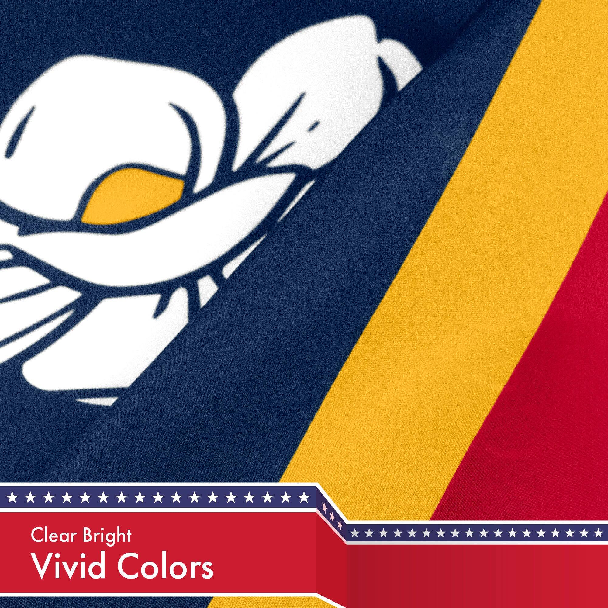 Clear Bright  
Vivid Colors