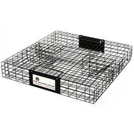 Rugged Ranch Products - Rugged Ranch SQRTO Squirrelinator Trap CatchMor Live Animal 2 Door Metal Cage - Black