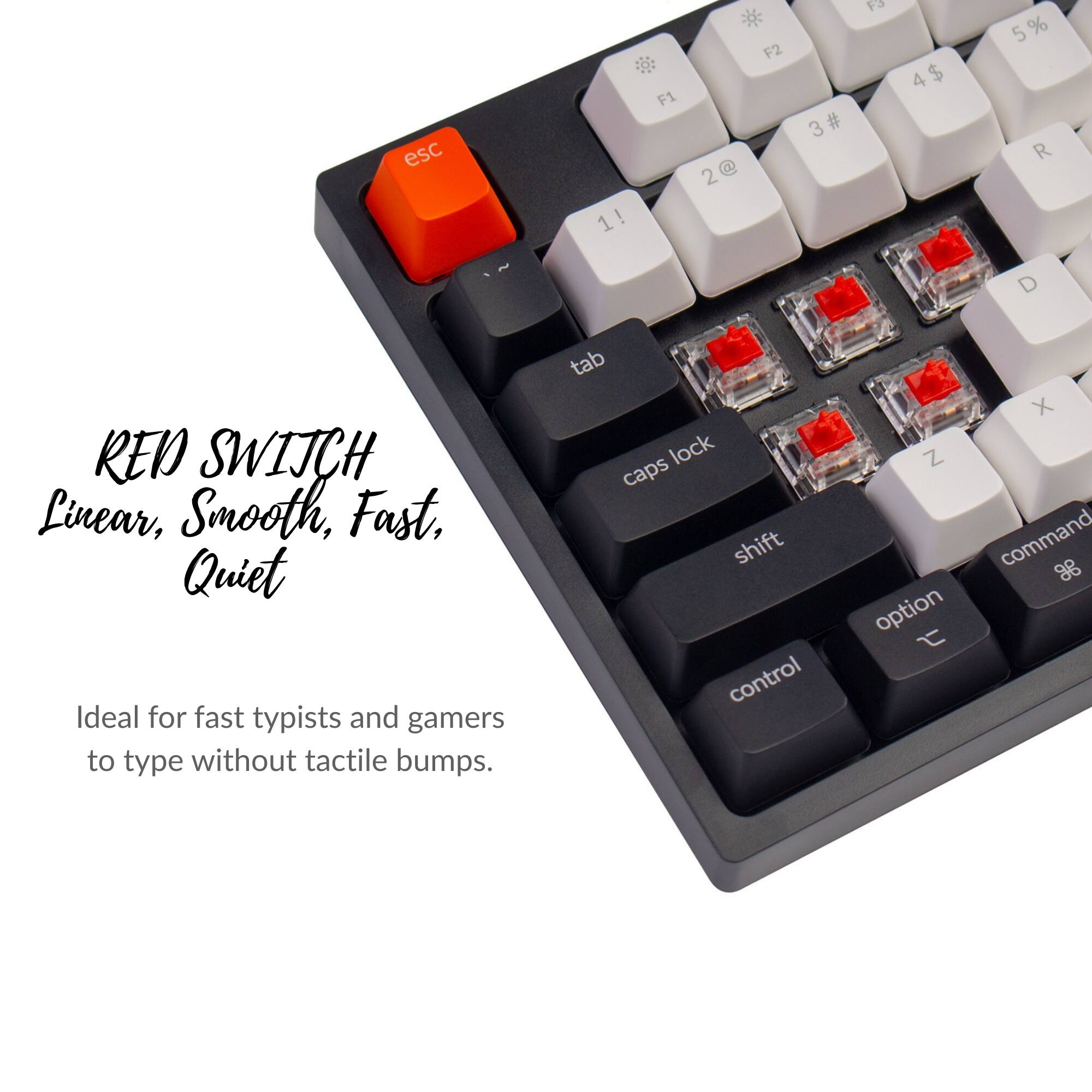 esc 1! F1 2@ F2 3# 4$ 5% R D REN SWIJCH Linear, Smooth, Fast, Quiet Ideal for fast typists and gamers to type without tactile bumps. tab lock caps shift control X Z command 9g option