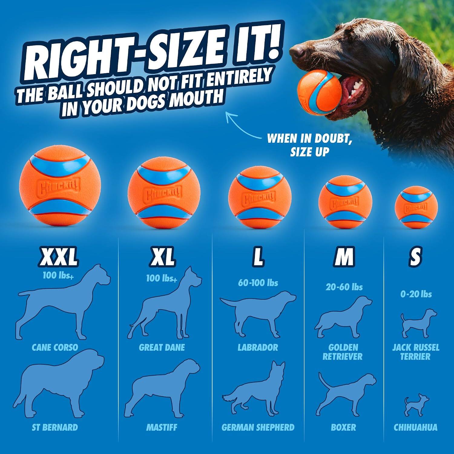 RIGHT-SIZE IT!  
THE BALL SHOULD NOT FIT ENTIRELY IN YOUR DOG'S MOUTH  
WHEN IN DOUBT, SIZE UP  

XXL 100 lbs+  
- CANE CORSO  
- ST BERNARD  
- MASTIFF  

XL 100 lbs+  
- GREAT DANE  

L 60-100 lbs  
- LABRADOR  
- GERMAN SHEPHERD  

M 20-60 lbs  
- GOLDEN RETRIEVER  
- BOXER  

S 0-20 lbs  
- JACK RUSSEL TERRIER  
- CHIHUAHUA