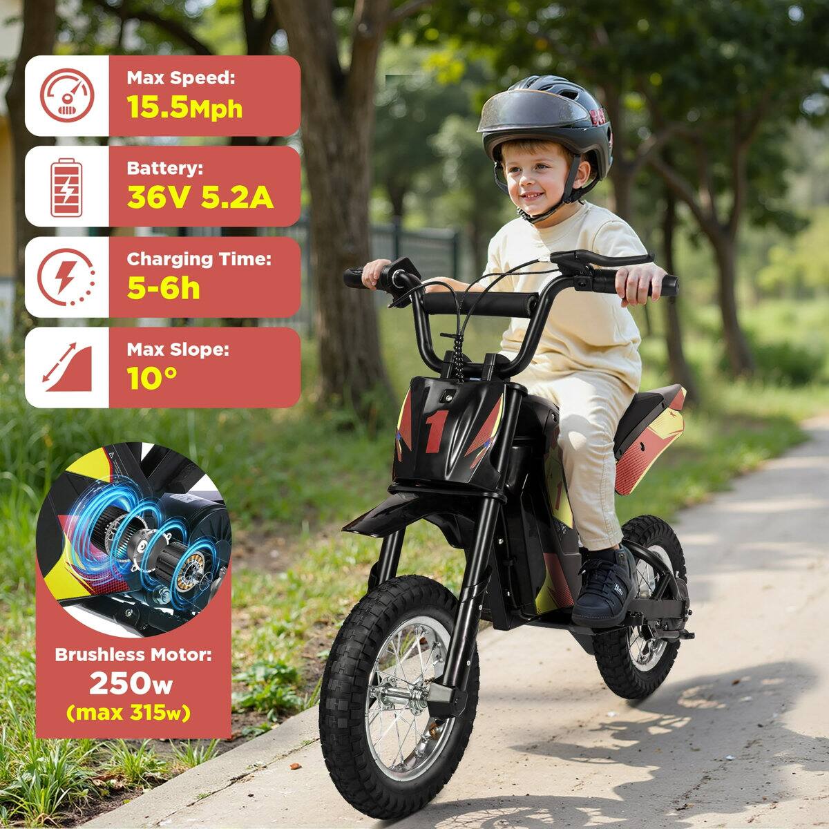 CED II  
Max Speed: 15.5Mph  
Battery: 36V 5.2A  
Charging Time: 5-6h  
Max Slope: 10°  
Brushless Motor: 250w (max 315w)