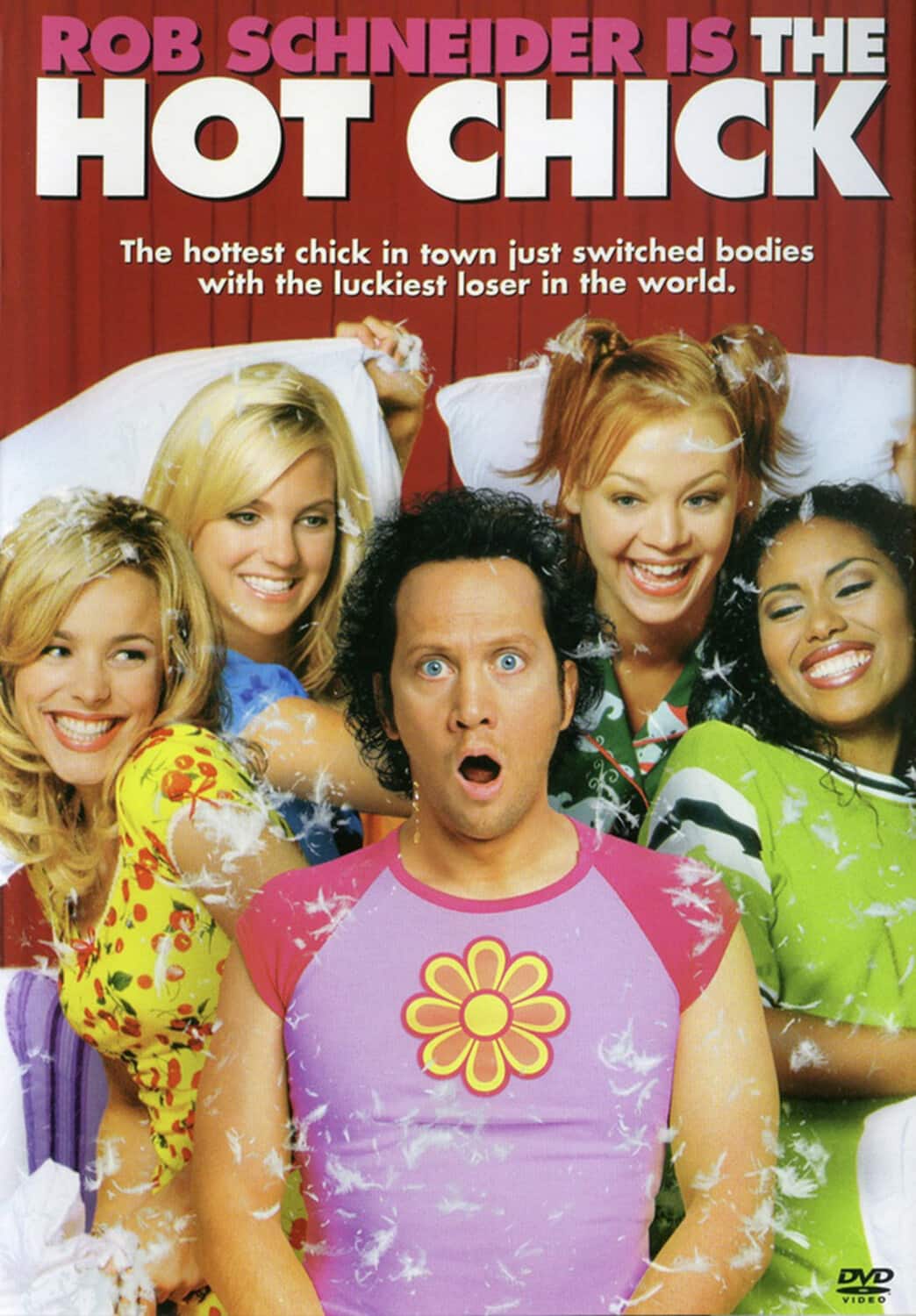 The Hot Chick  - DVD