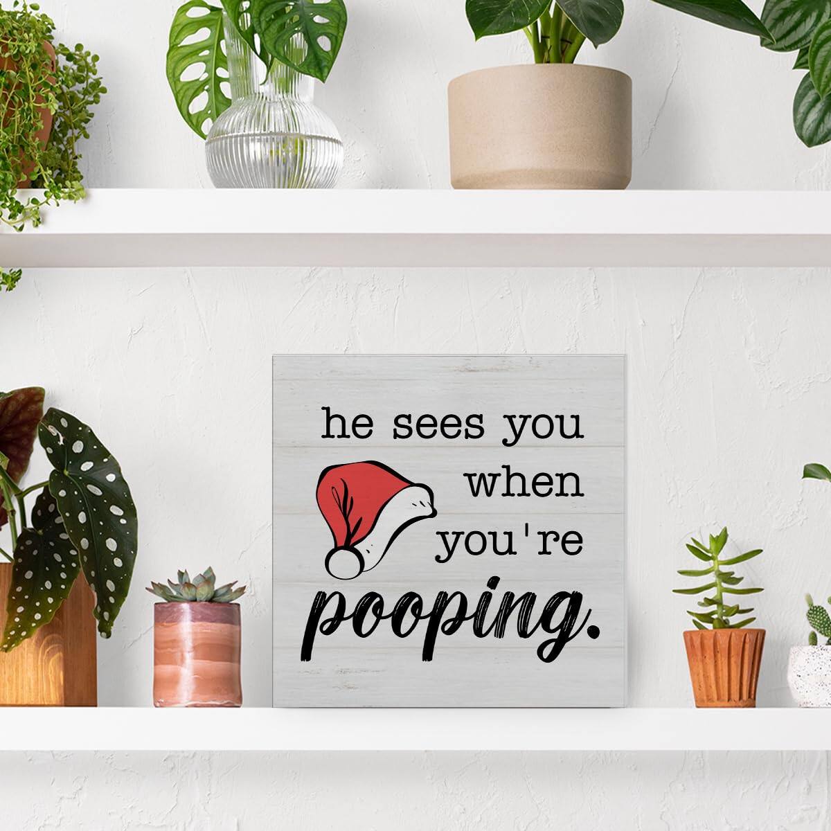 Paradigms Interiors Christmas Bathroom Decorations He Sees You When You ...