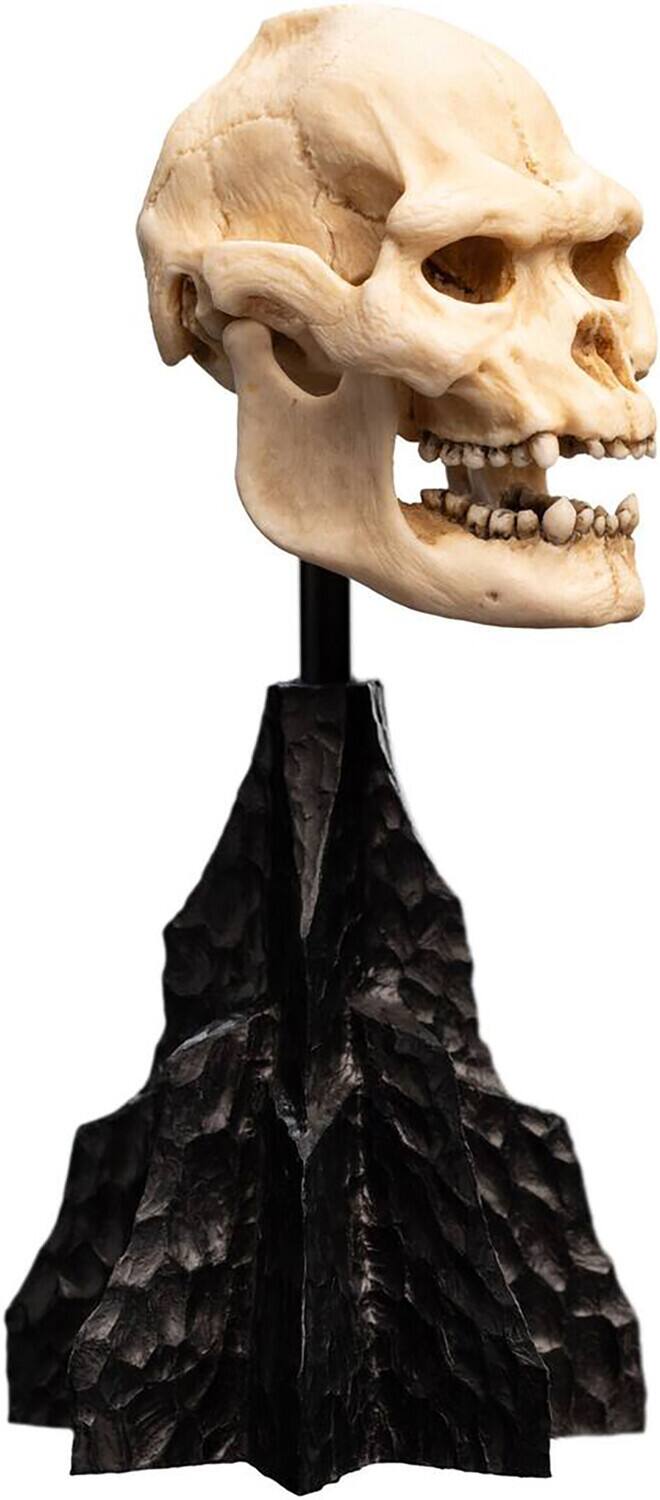 Alt View 2. Weta Workshop - WETA Workshop Polystone - The Lord of the Rings Trilogy - Skull of Lurtz Polystone Statue   - COLLECTIBLES - Multicolor.