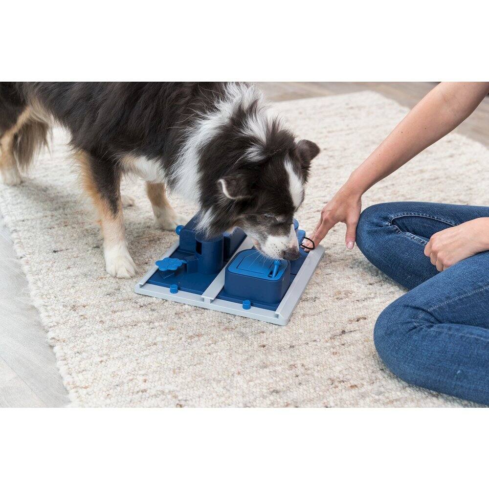 Angle. TRIXIE - Dog Activity Poker Box 2 Strategy Game, Level 2 Dog Puzzle Toy, Treat Dispenser - White/Blue.