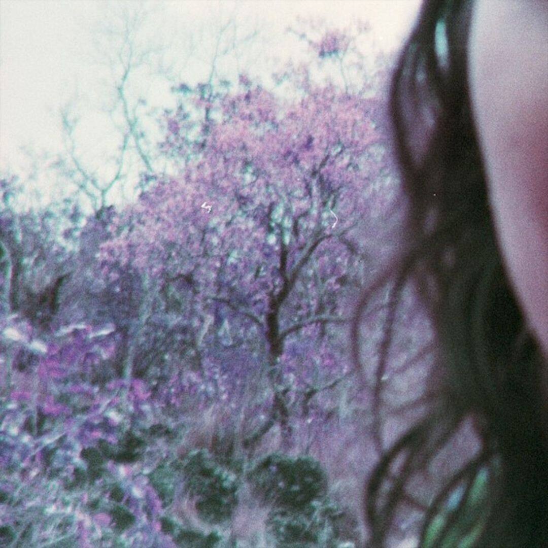 Front. Carabobina [LP].