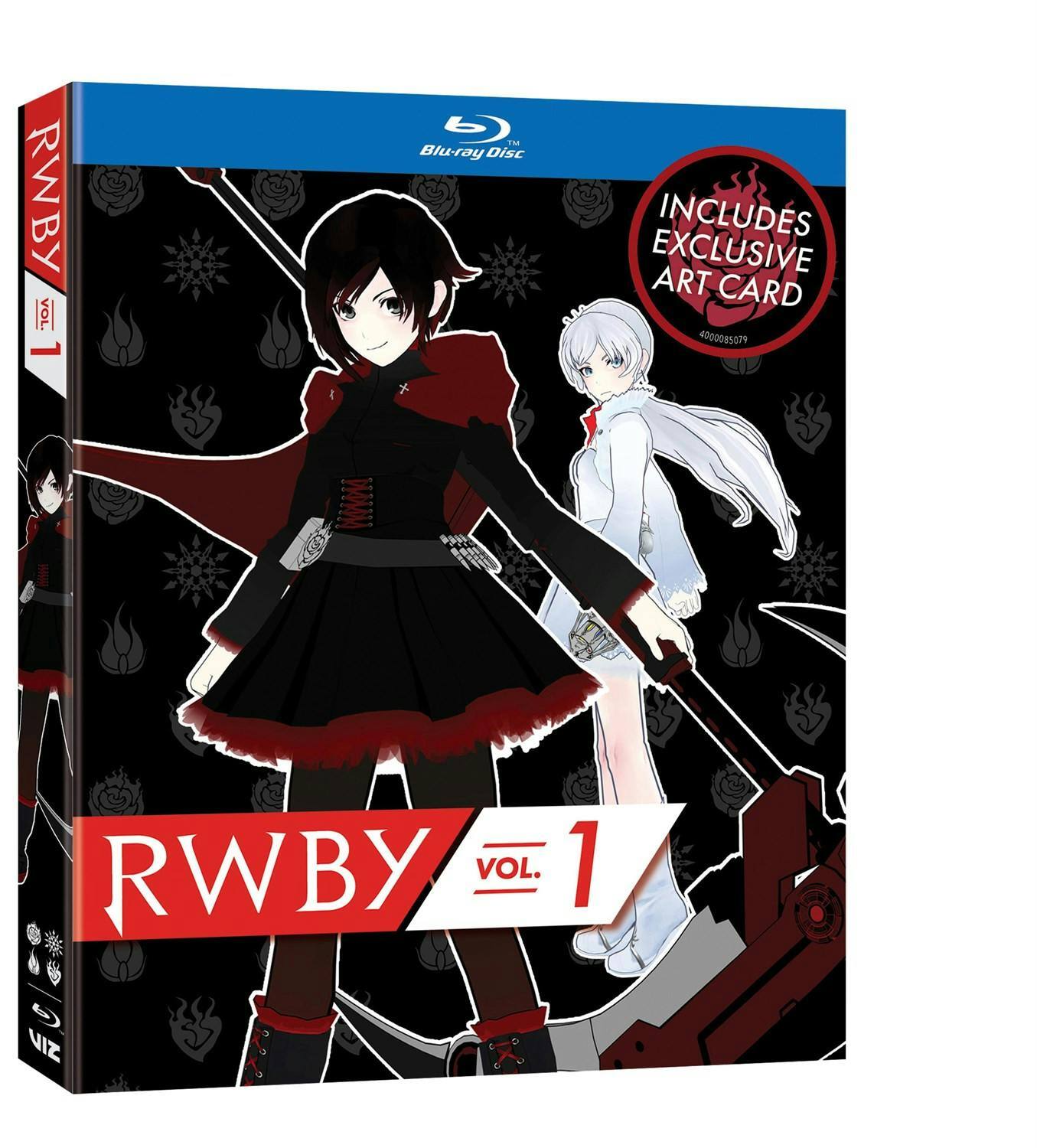Angle. RWBY Volume 1 [Blu-ray].