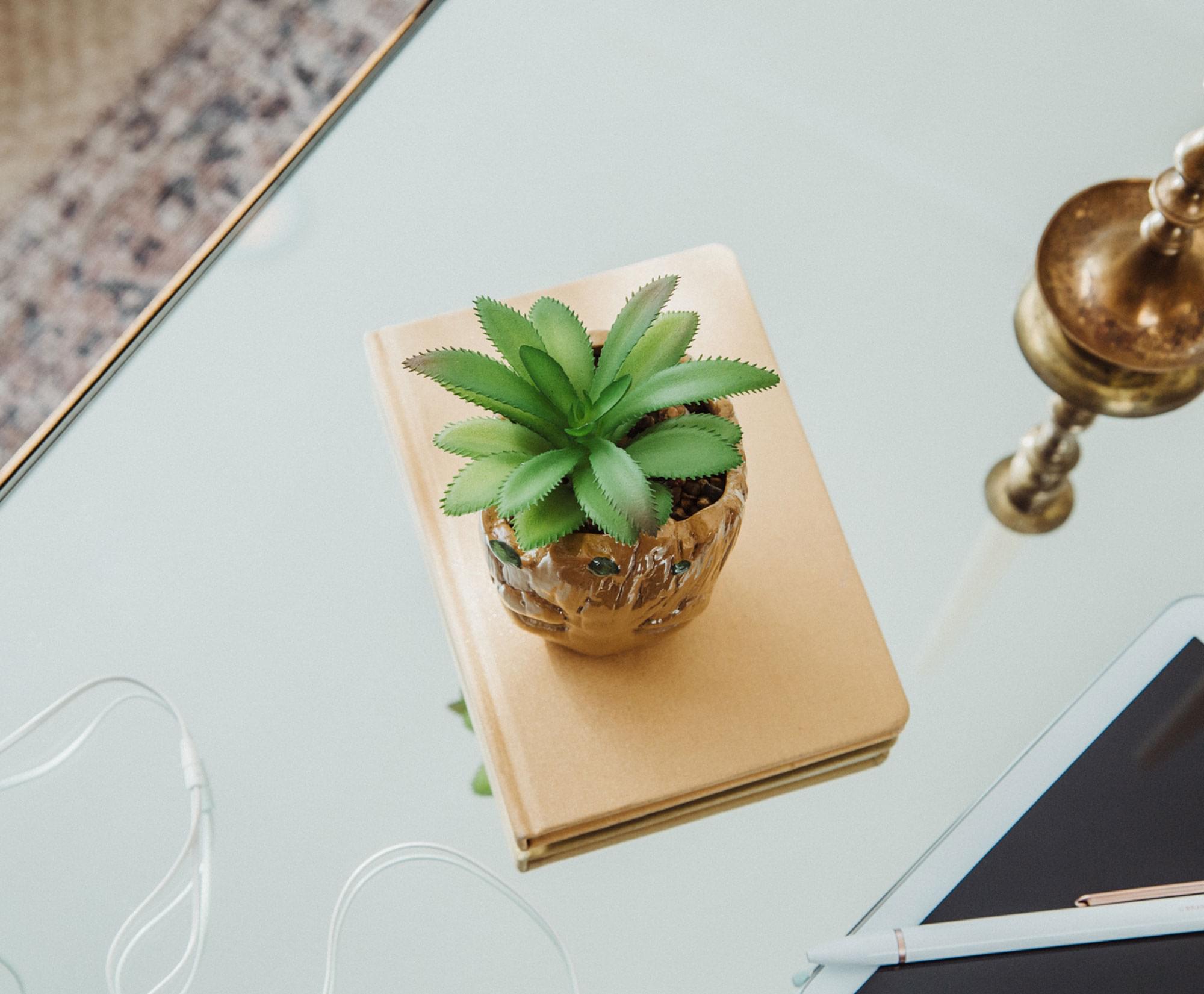 Alt View 4. Marvel - Marvel Studios I Am Groot 3-Inch Ceramic Mini Planter With Artificial Succulent - Brown.