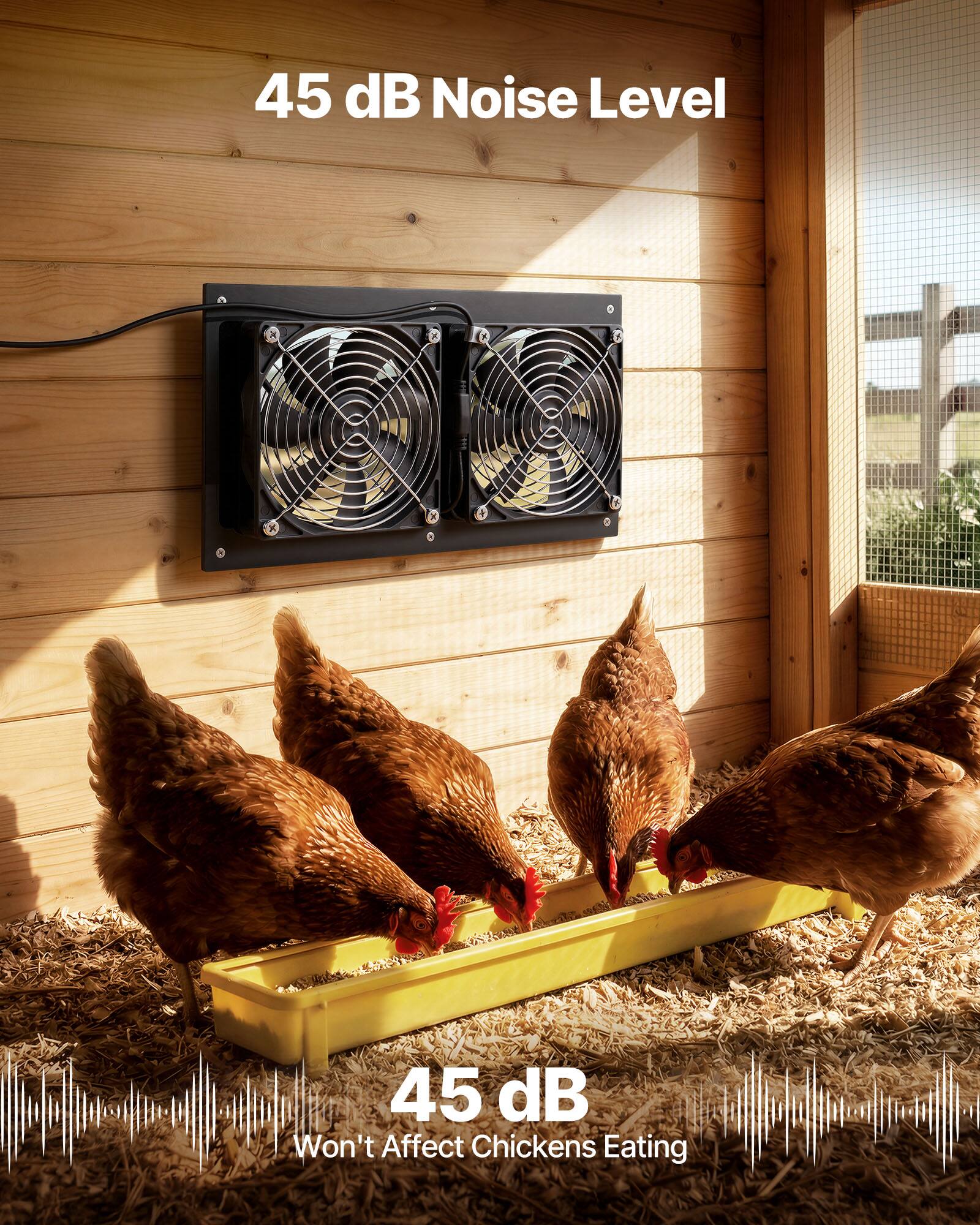 45 dB Noise Level

45 dB
Won't Affect Chickens Eating