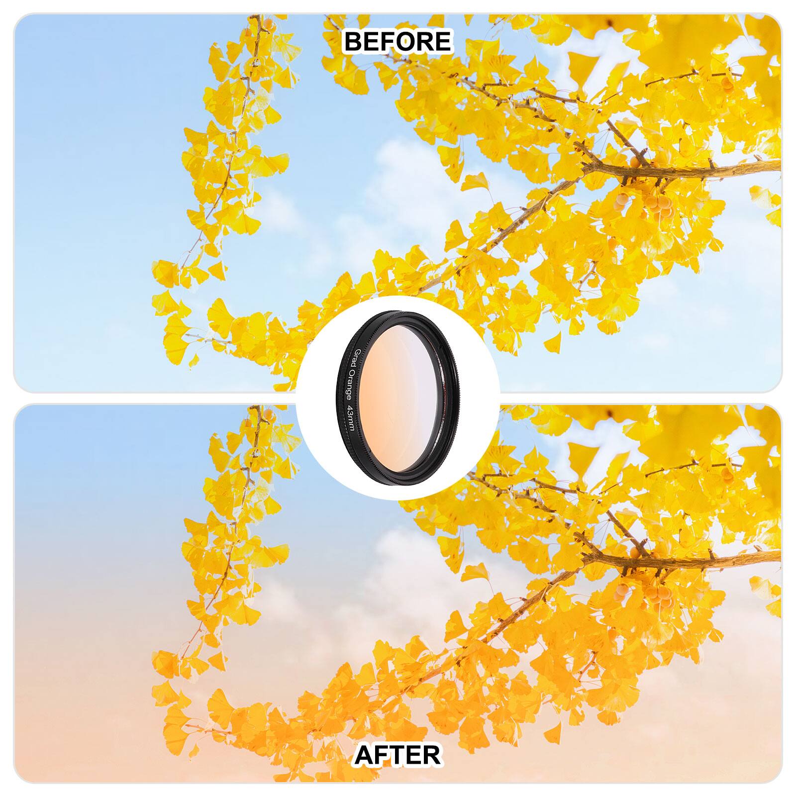 BEFORE  
Giraed Orange T  
AFTER