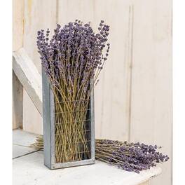 BreeBe - Dried Lavender Bunch 13" - Multicolor