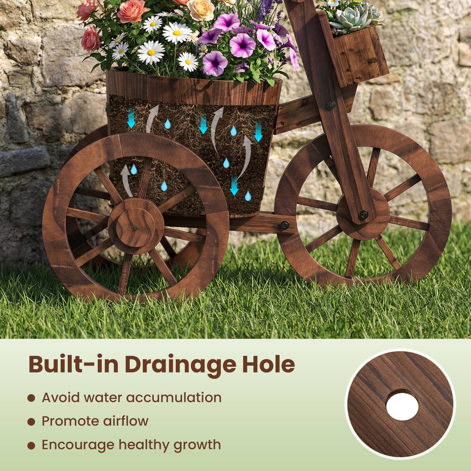 Built-in Drainage Hole

- Avoid water accumulation
- Promote airflow
- Encourage healthy growth