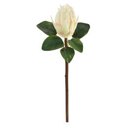 BreeBe - 23" King Protea Artificial Flower (Set of 4) - White