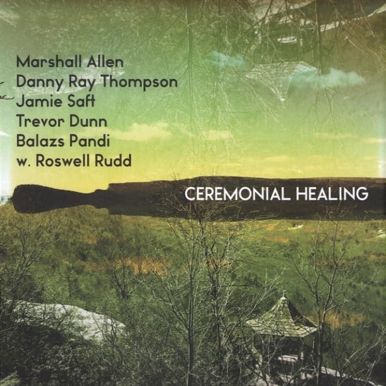 Ceremonial Healing [LP] [VINYL] price history on PriceWatchPro