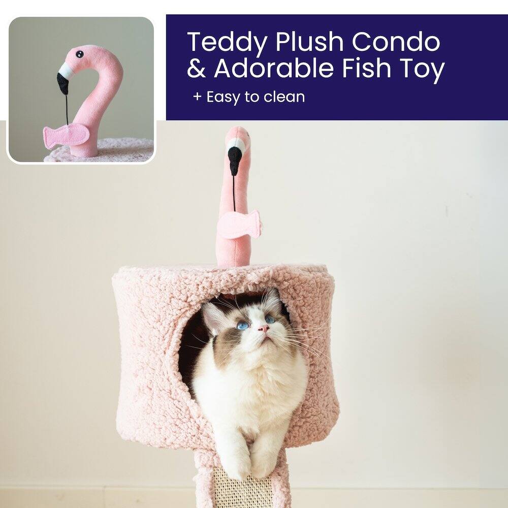 Teddy Plush Condo & Adorable Fish Toy  
+ Easy to clean