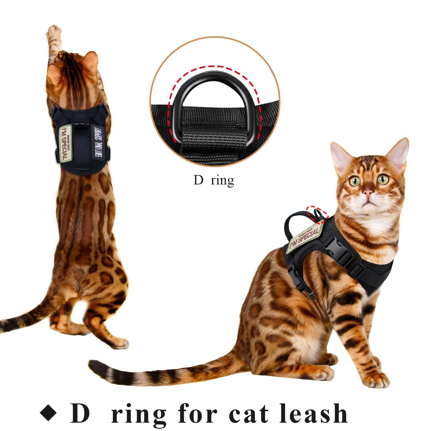 - M SPECIAL
- D ring for cat leash
