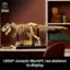3145 a 0 CC - LEGO Jurassic World T. rex skeleton to display.
