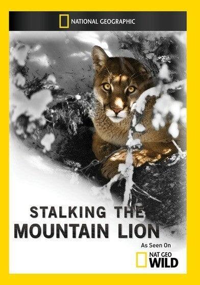 Stalking the Mountain Lion - DVD