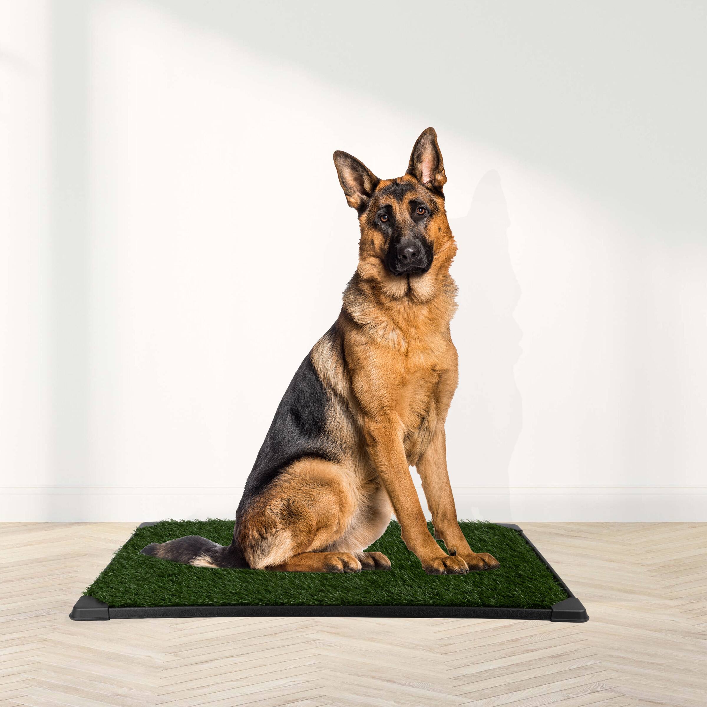 Back. PetMaker - 35.5x23.5 Artificial Grass Pee Pads - Black/Green.