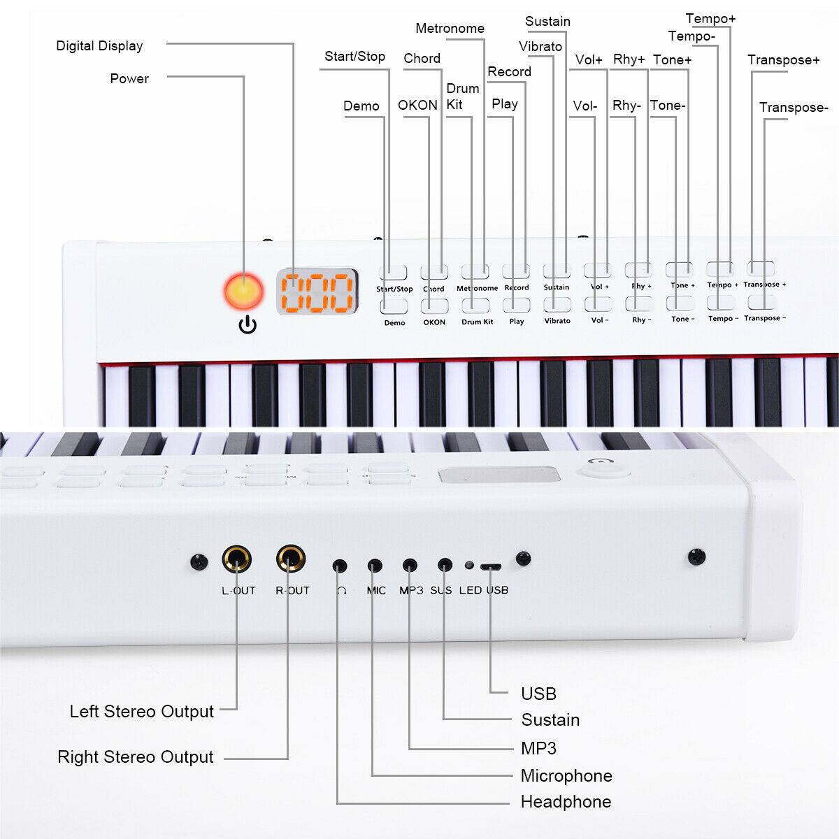 Digital Display, Power, Sustain, Tempo+, Metronome, Tempo-, Vibrato, Start/Stop, Chord, Vol+, Rhy+, Tone+, Transpose+, Record, Drum Demo, OKON Kit, Play, Vol- Rhy- Tone- Transpose- Start/Step Chora, Metronome, MIDI, Record, Suitain, 000, Demo, OKON, DnAm Kit, Play, Vibrato, Noise Gate, Volume, Tone, Transpose, Tempo, Transpose, L-OUT, R-DUT, C, MIC, MP3, sus, LED, USB, Left Stereo Output, USB, Sustain, Right Stereo Output, MP3, Microphone, Headphone