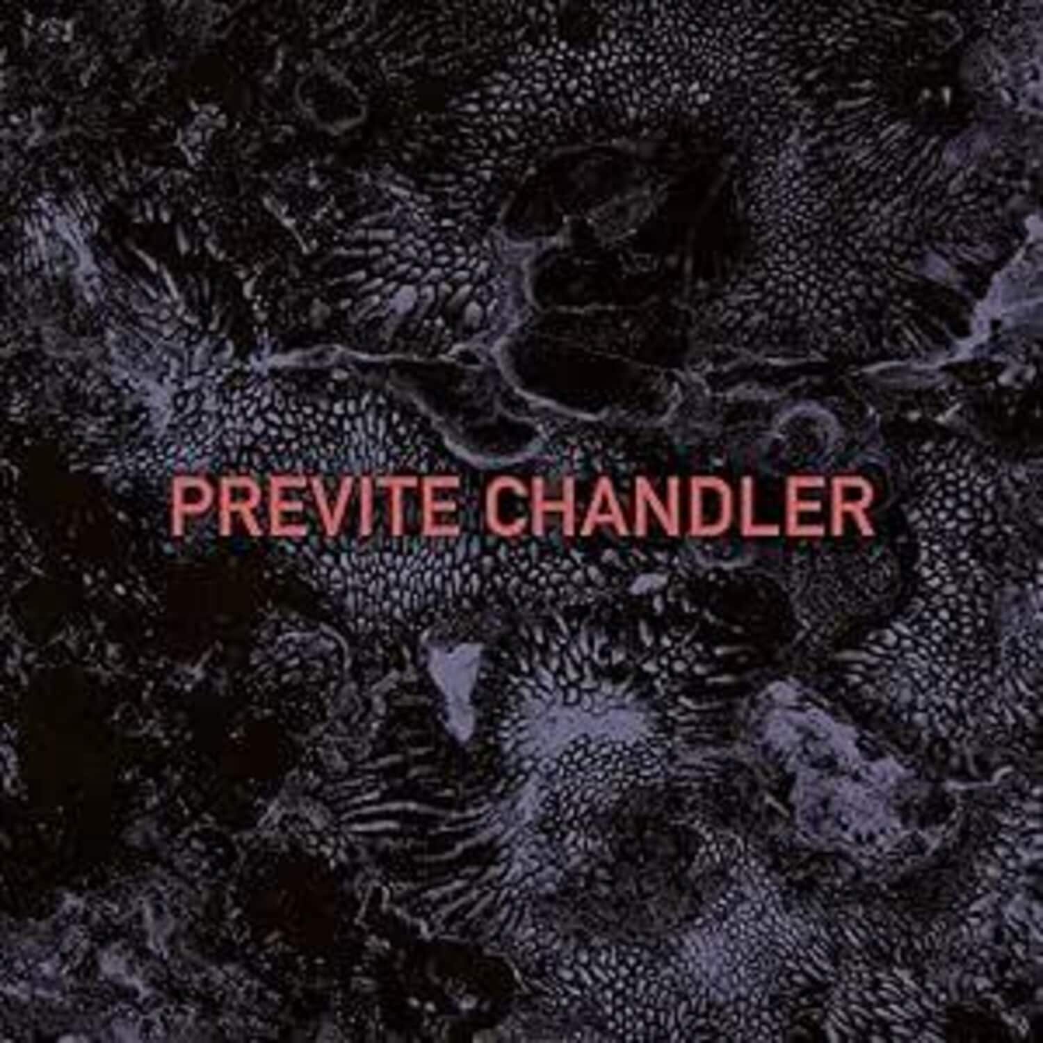 Previte Chandler - Previte Chandler  - COMPACT DISCS