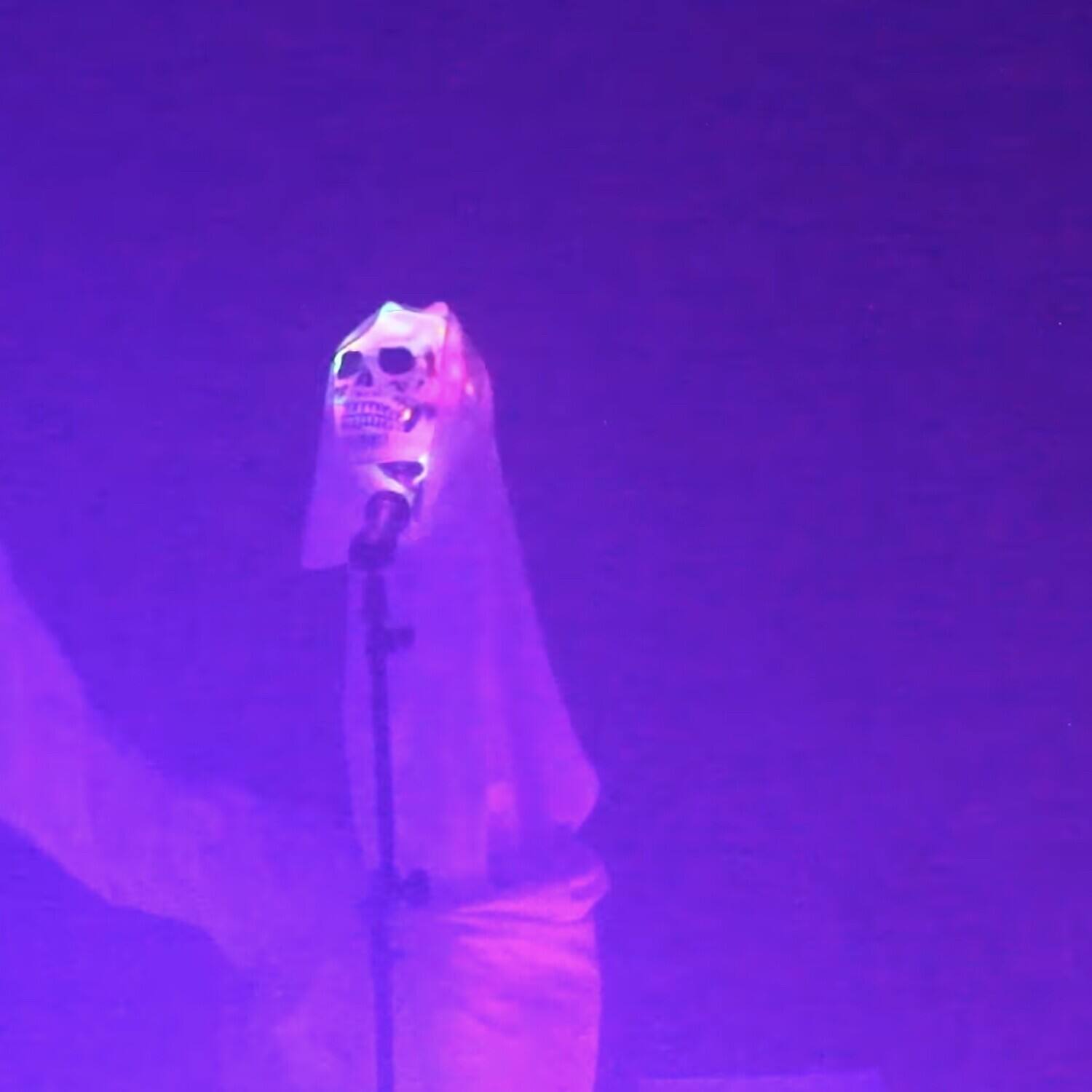 Front. True Neutral Crew - Softer   - VINYL LP .