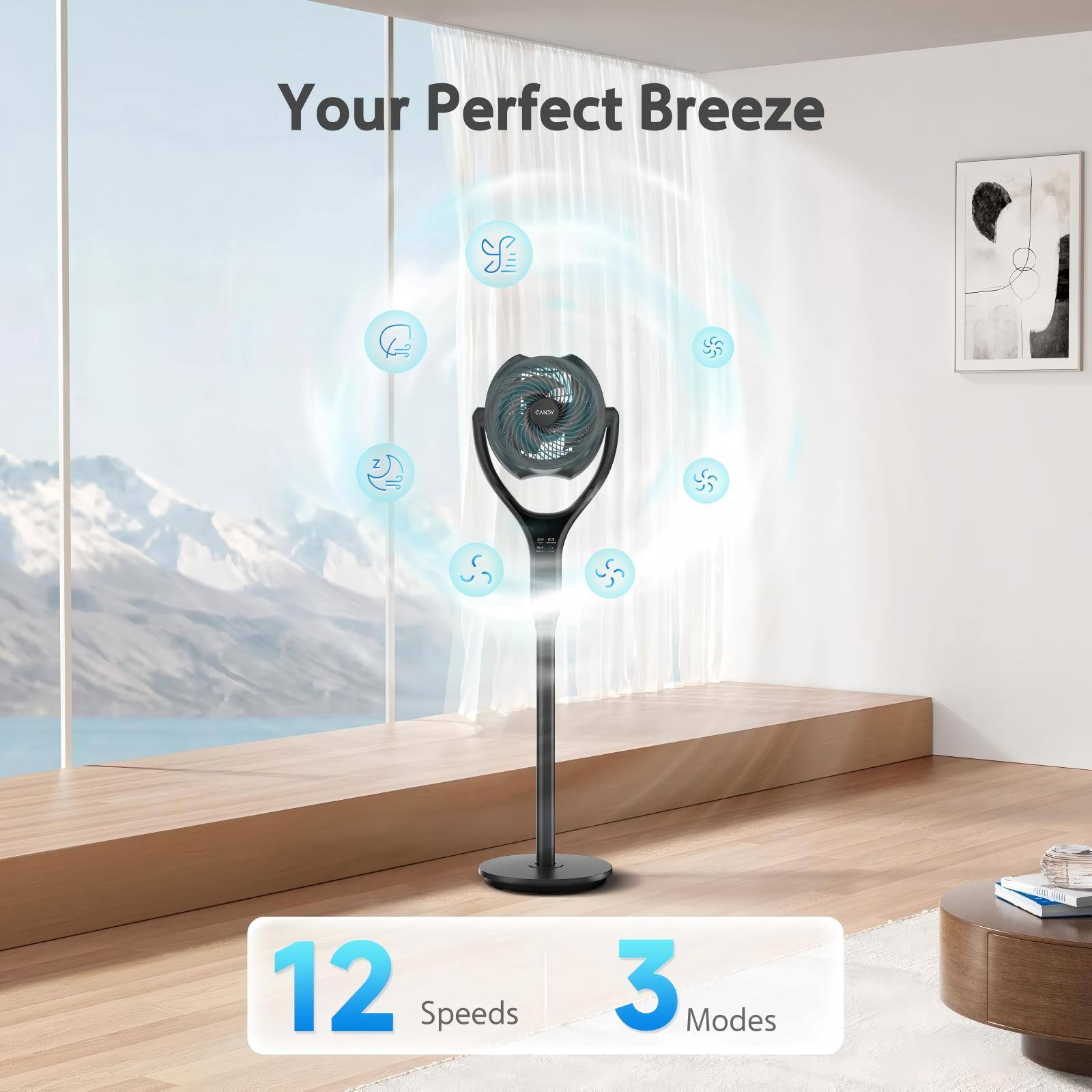 Your Perfect Breeze S5  
12 Speeds  
3 Modes