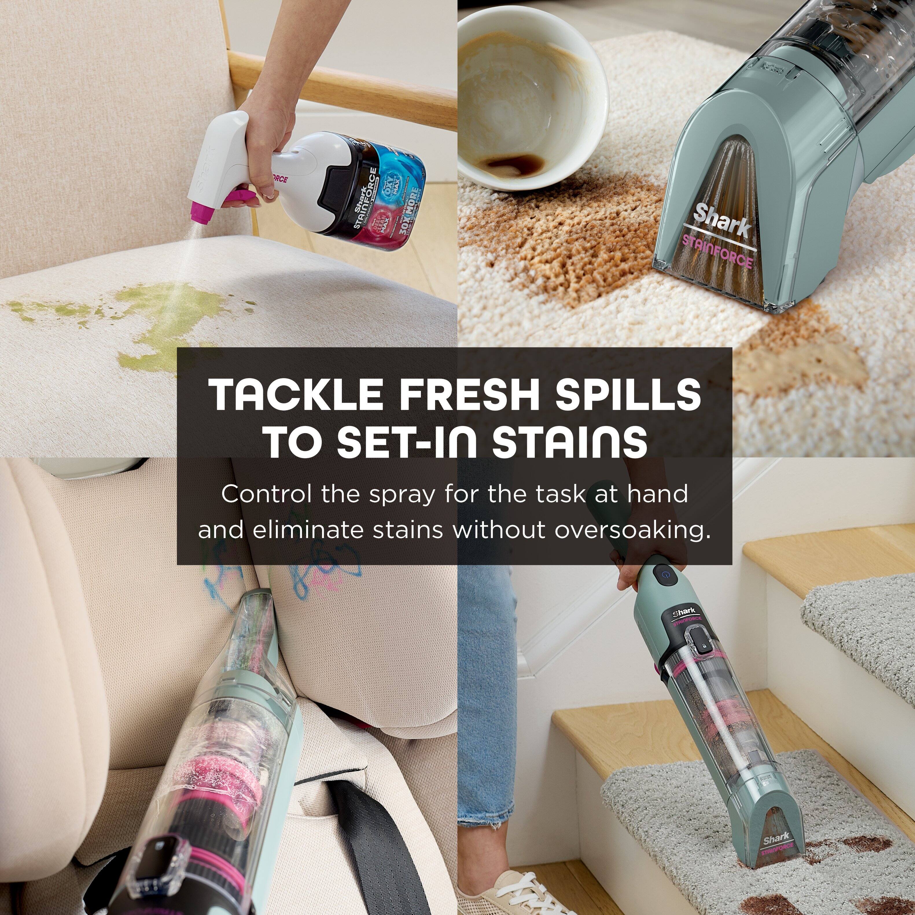 TACKLE FRESH SPILLS TO SET-IN STAINS

Control the spray for the task at hand and eliminate stains without oversoaking.