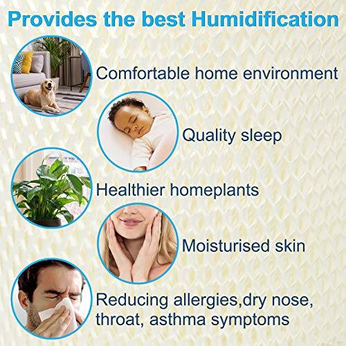 Provides the best Humidification

- Comfortable home environment
- Quality sleep
- Healthier homeplants
- Moisturised skin
- Reducing allergies, dry nose, throat, asthma symptoms