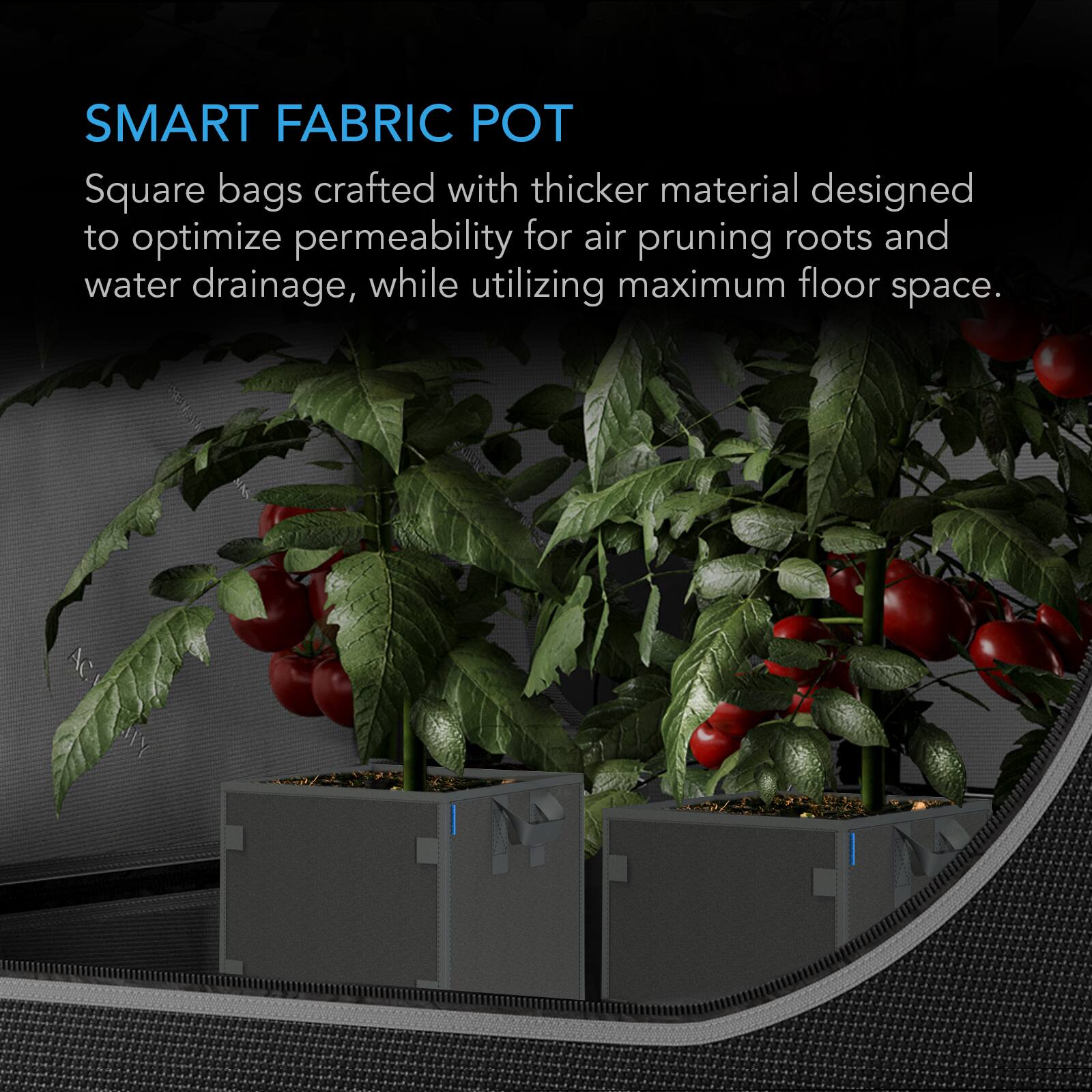 SMART FABRIC POT

Square bags crafted with thicker material designed to optimize permeability for air pruning roots and water drainage, while utilizing maximum floor space.