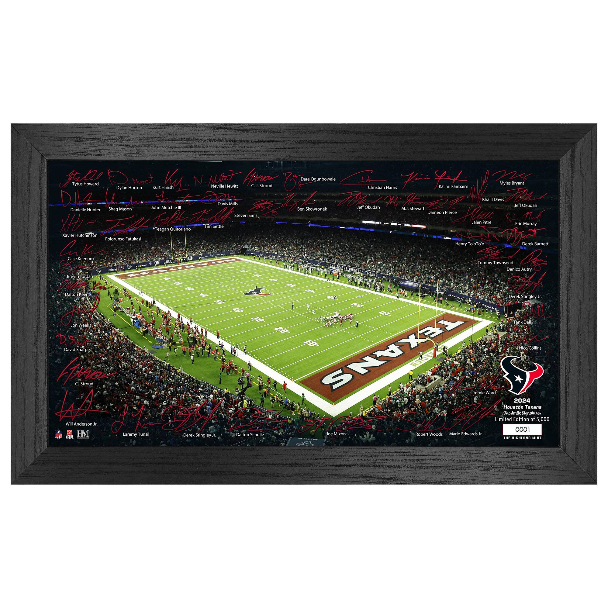12" x 20" 2024 Signature Gridiron Panoramic Framed Photo