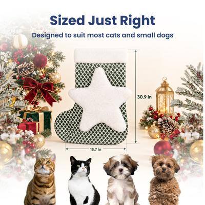 Sized Just Right  
Designed to suit most cats and small dogs  

30.9 in  
15.7 in