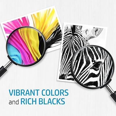VIBRANT COLORS and RICH BLACKS