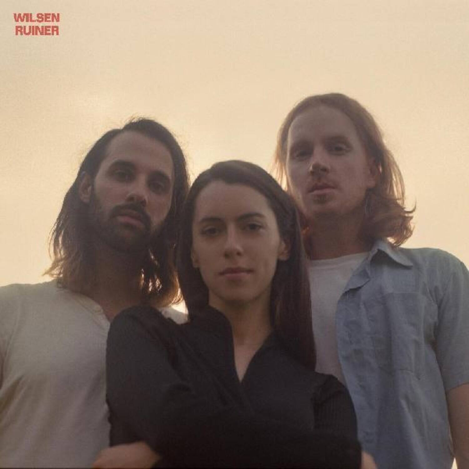 Wilsen - Ruiner   - COMPACT DISCS [CD] price history on PriceWatchPro