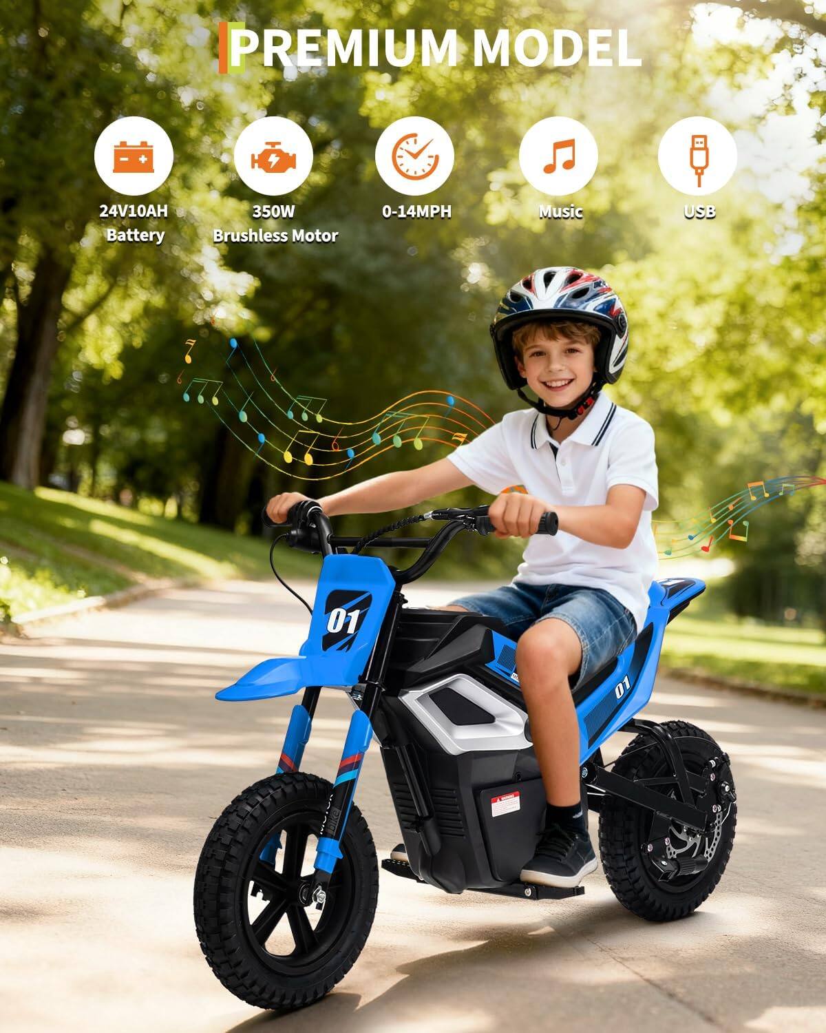 PREMIUM MODEL  
24V10AH Battery  
350W Brushless Motor  
0-14MPH  
Music  
USB