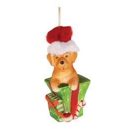 BreeBe - Puppy in Package Ornament (Set of 6) - Green, Orange, Red, White