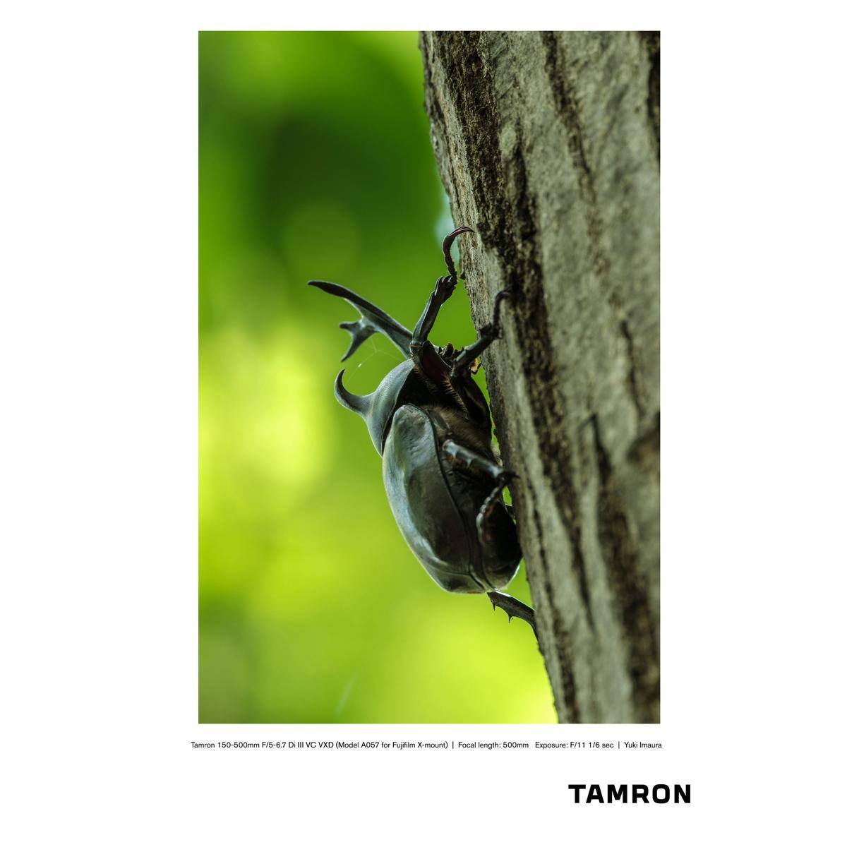 Tamron 50-500mm F/5-6.7 DI III VC VXD (Model A057 for Fujifilm X-mount)  
Focal length: 500mm  
Exposure: F/11 1/6 sec  
Yuki Maura  
TAMRON