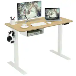 Kadyn - 48 Inches Electric Standing Adjustable Desk with Control Panel and USB Port- Home Office Desks, Computer Desks - Beige